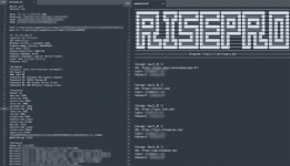 risepro-fig06.png