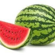 Water Melon