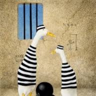 JailBird