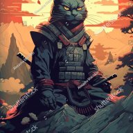 KittyWarrior