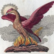 Phoenixus