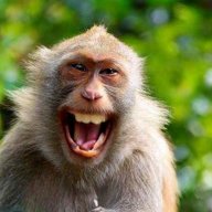 MonkeyJ