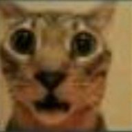 jdhdhdhdveh