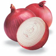rdvrttrbtbrbrg4