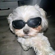 ellislol22134