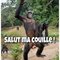 le_moulin_polic