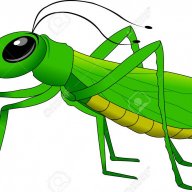 greenhopper