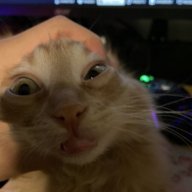 NameForThisShit