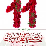 Hamza_295