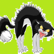 fc08