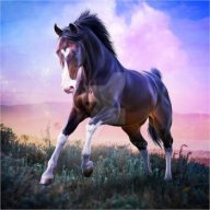 raramora