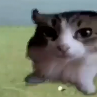 pagbigyannyona