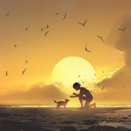 unknown12356