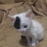 Any name: