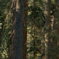 c6893676