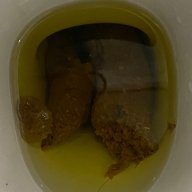 hanky228