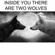 poiuytrewqdsa37