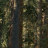 c6893676