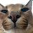 caracal