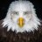 Handsome Eagle
