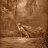 lethe