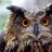 Bubo